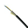 2F MM 7.0mm FTTA Armored cable