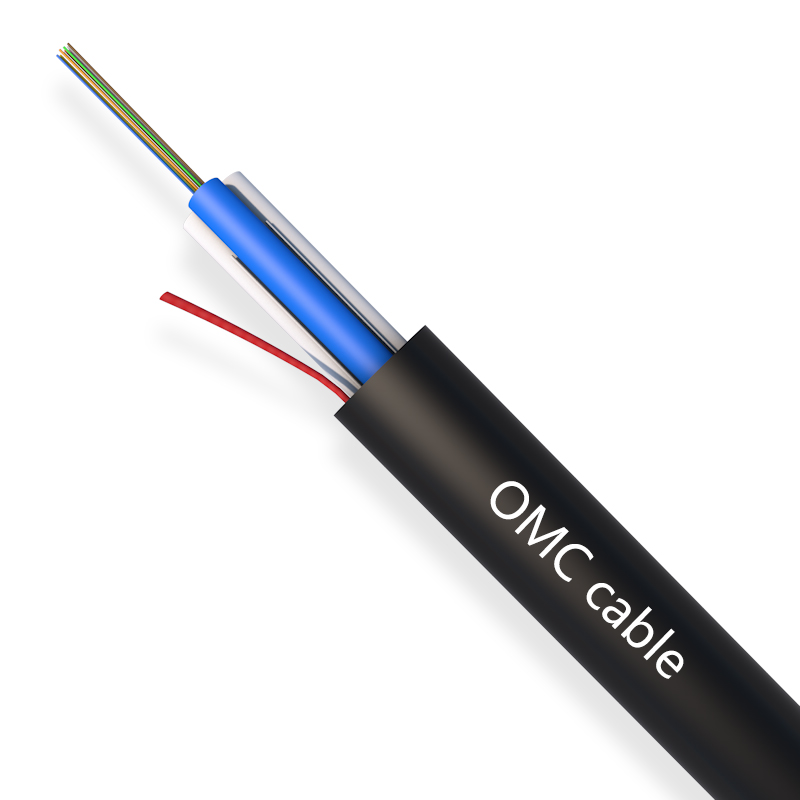 2-12F ASU Cable