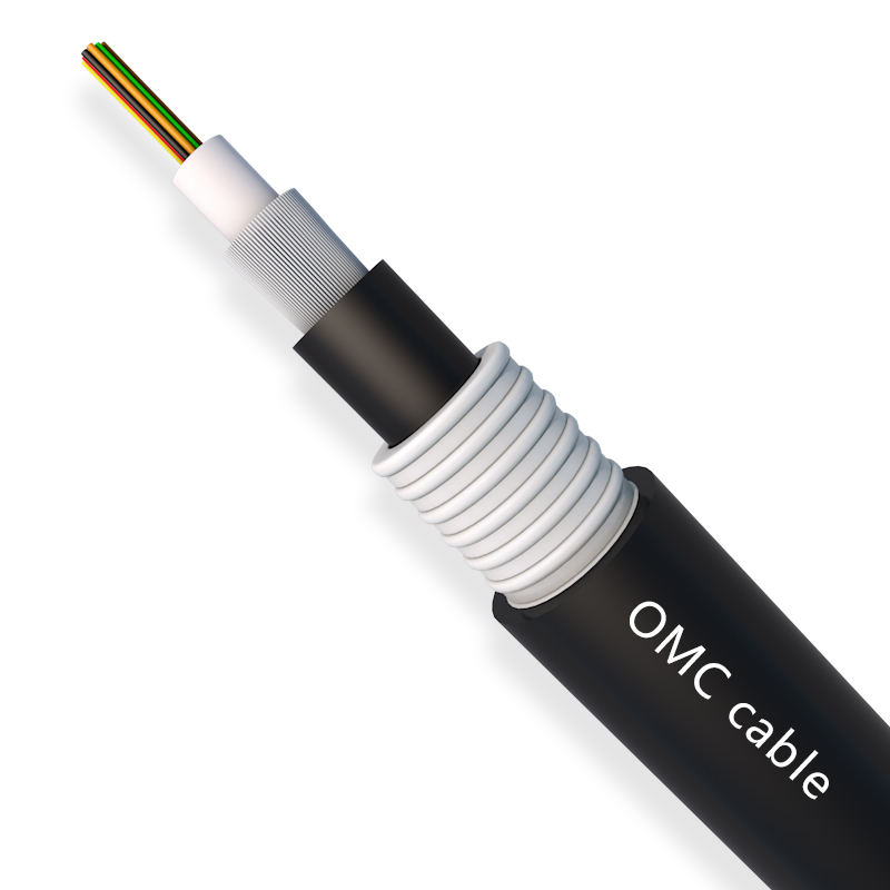2-12F Double Sheath Unitube Armored Cable (GJFXTKV53)