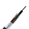 EVI-GYFTA-12B1-Img-1