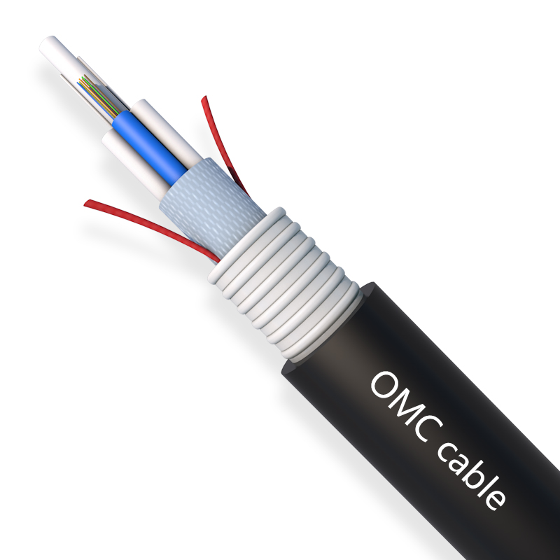 12F Stranded Loose Tube Armored Cable GYFHTS