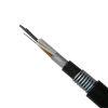 2-144F Stranded Loose Tube Double Armored&Sheath Cable (GYTA53) PE