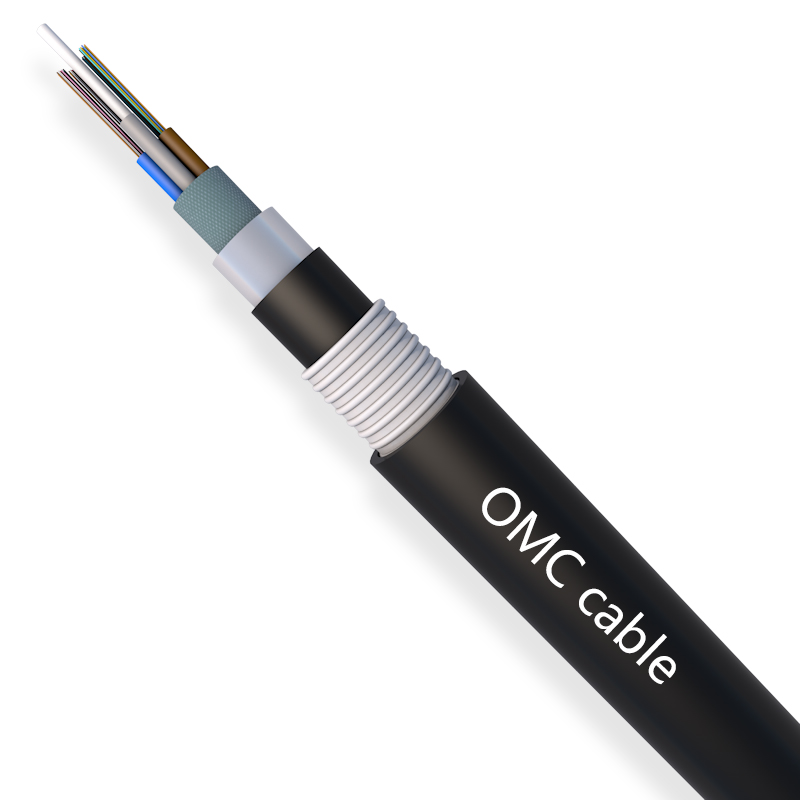 2-144F Stranded Loose Tube Double Armored&Sheath Cable (GYTA53) PE