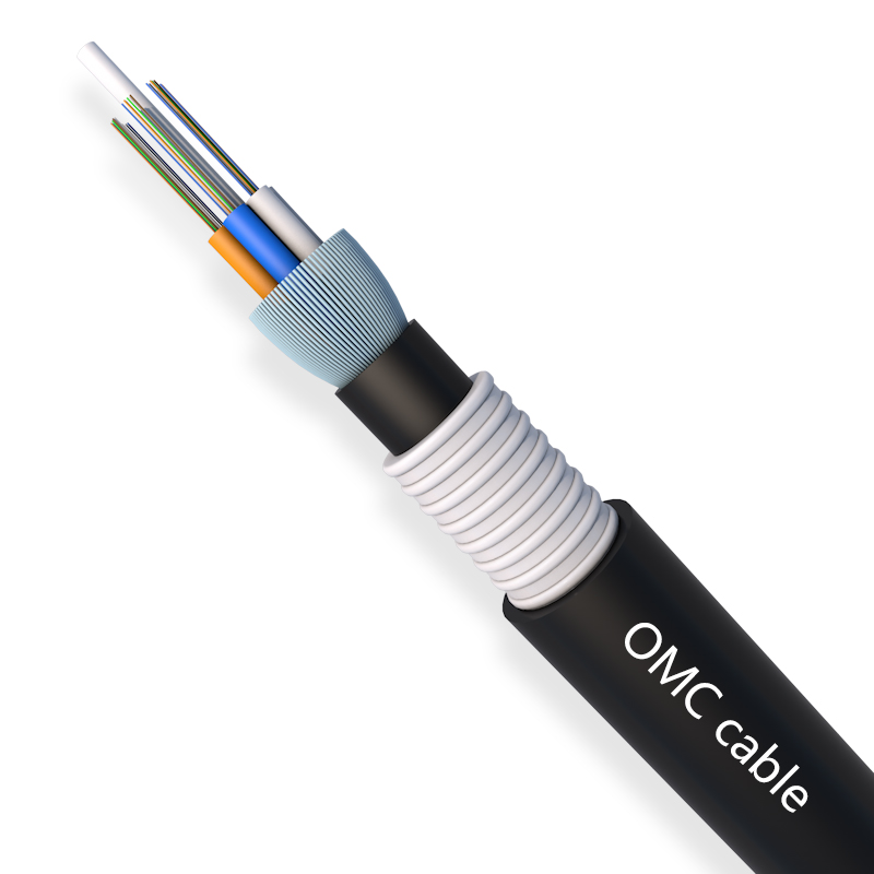 2-96F Stranded Loose Tube Double Sheath Armored Cable (GYTY53)