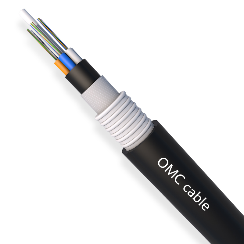 2-96F Stranded Loose Tube Double Sheath Armored Cable（GYFTY53）