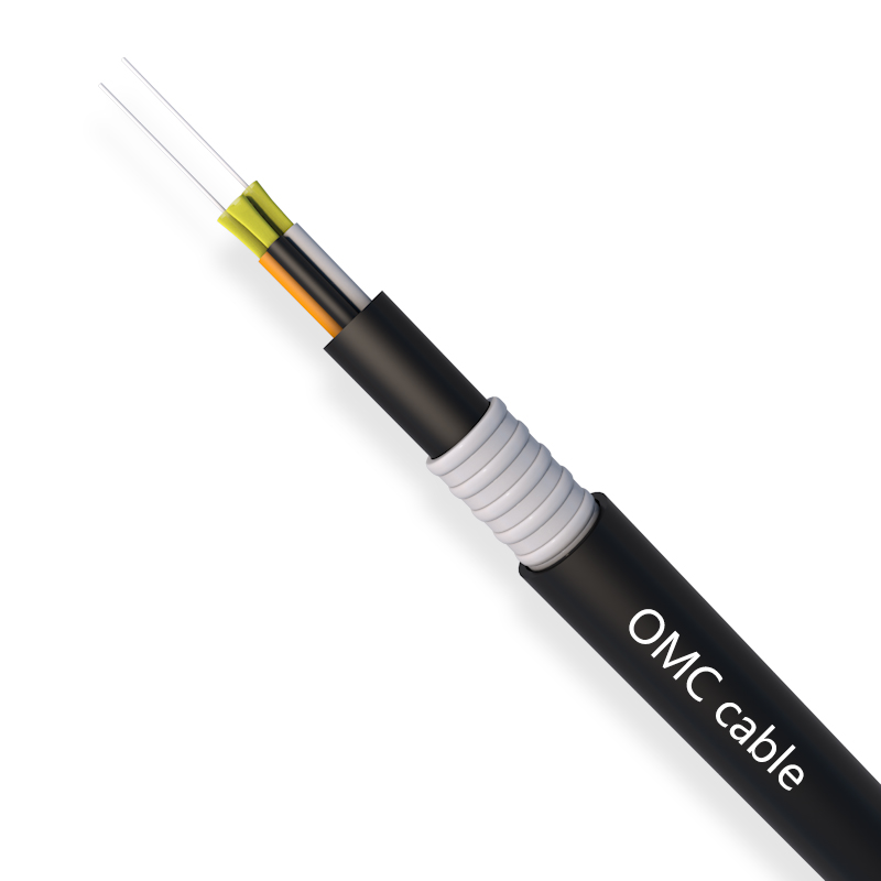 2F 10.0mm Double Sheath FTTA CPRI armored cable