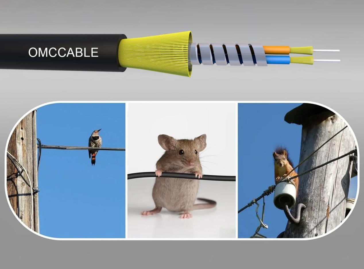 armored fiber cable