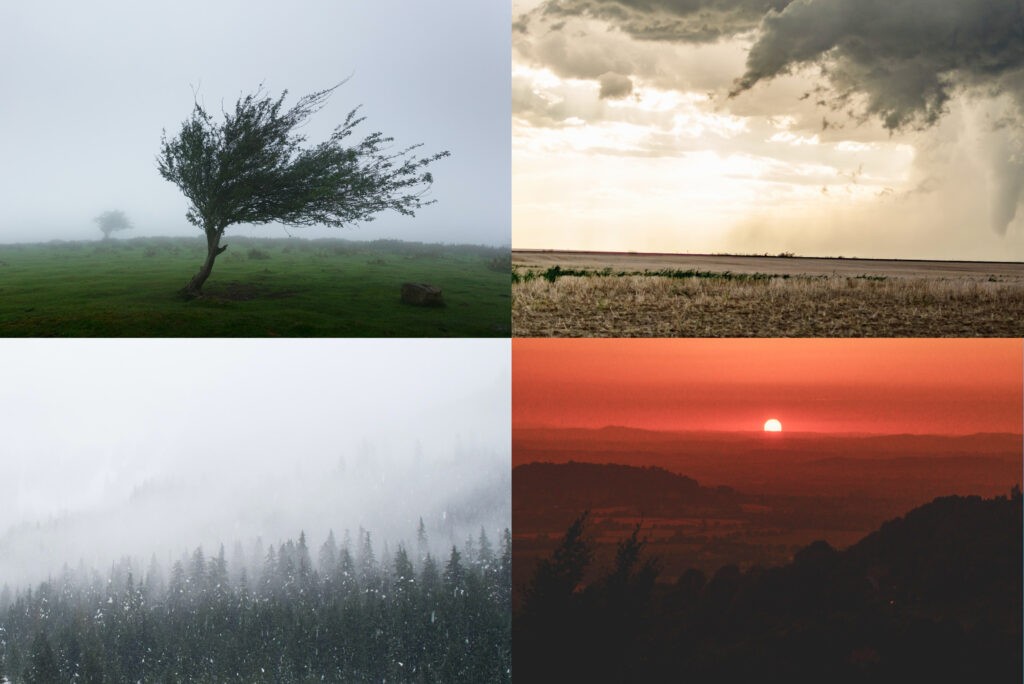 Durability in Harsh Weather