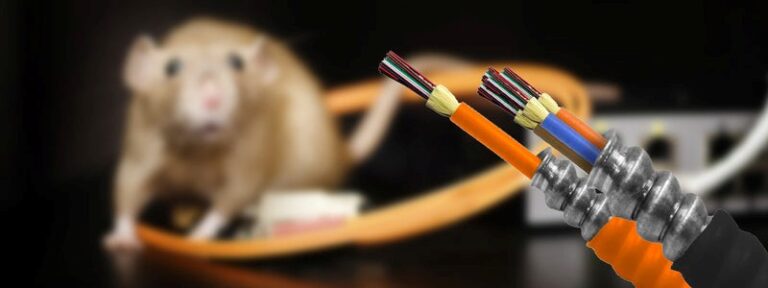 types of armored cable