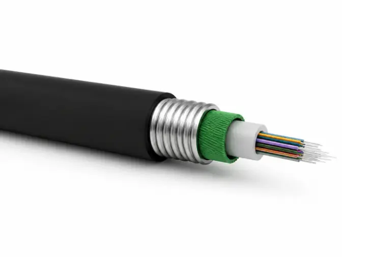 Armored Fiber Optic Cable (1)
